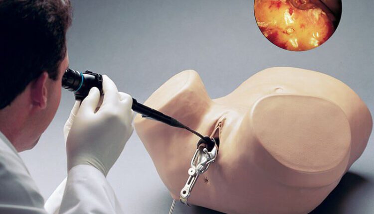 Hysteroscopy training simulator / for women / pelvis