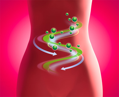 egészséges-emésztés