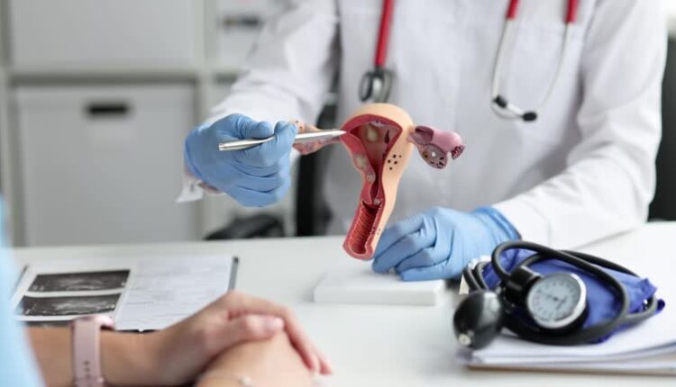 mioma_mioma.hu_istockphoto-1347465630-640×640