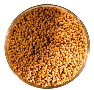 Mustármag